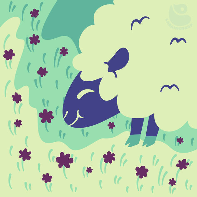 A Grazing Sheep